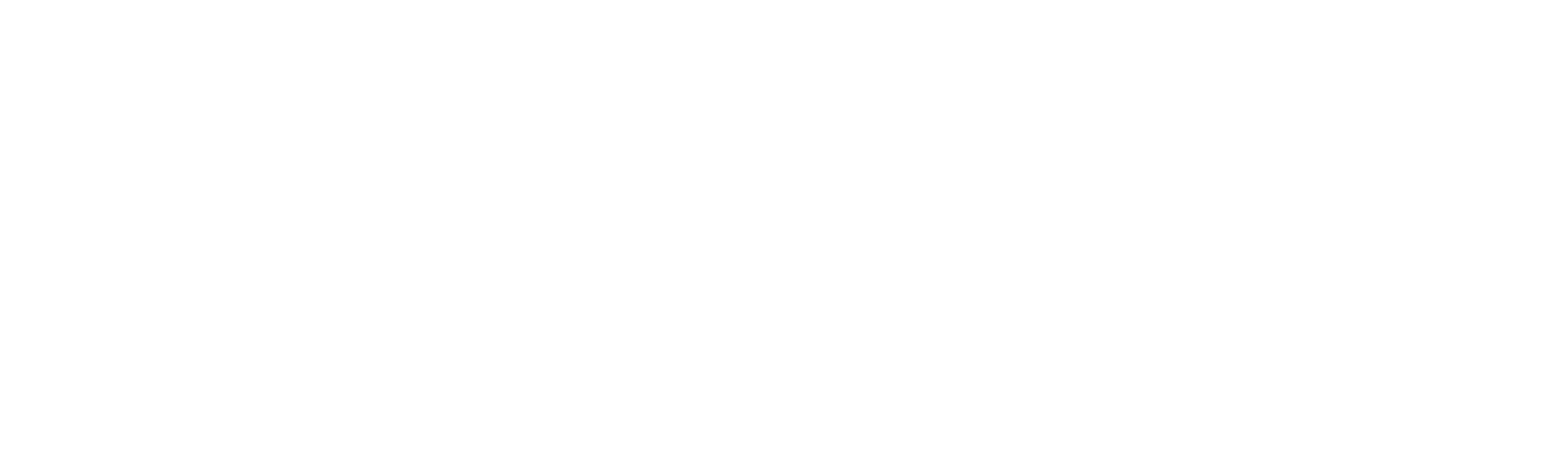 Wild Bloom Home logo